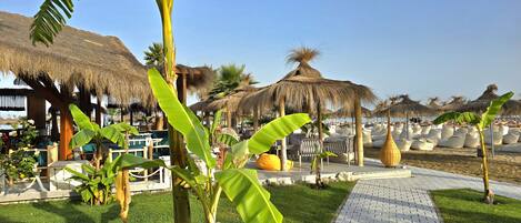 テラス / パティオ