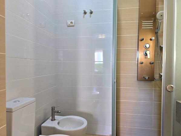 Shower, hair dryer, towels