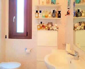 Shower, hair dryer, bidet, towels
