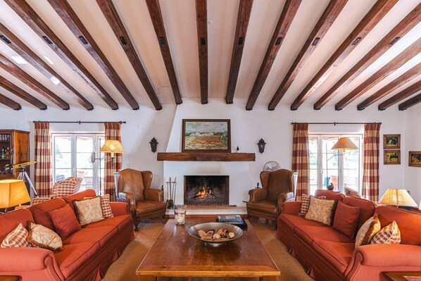 TV, fireplace, books