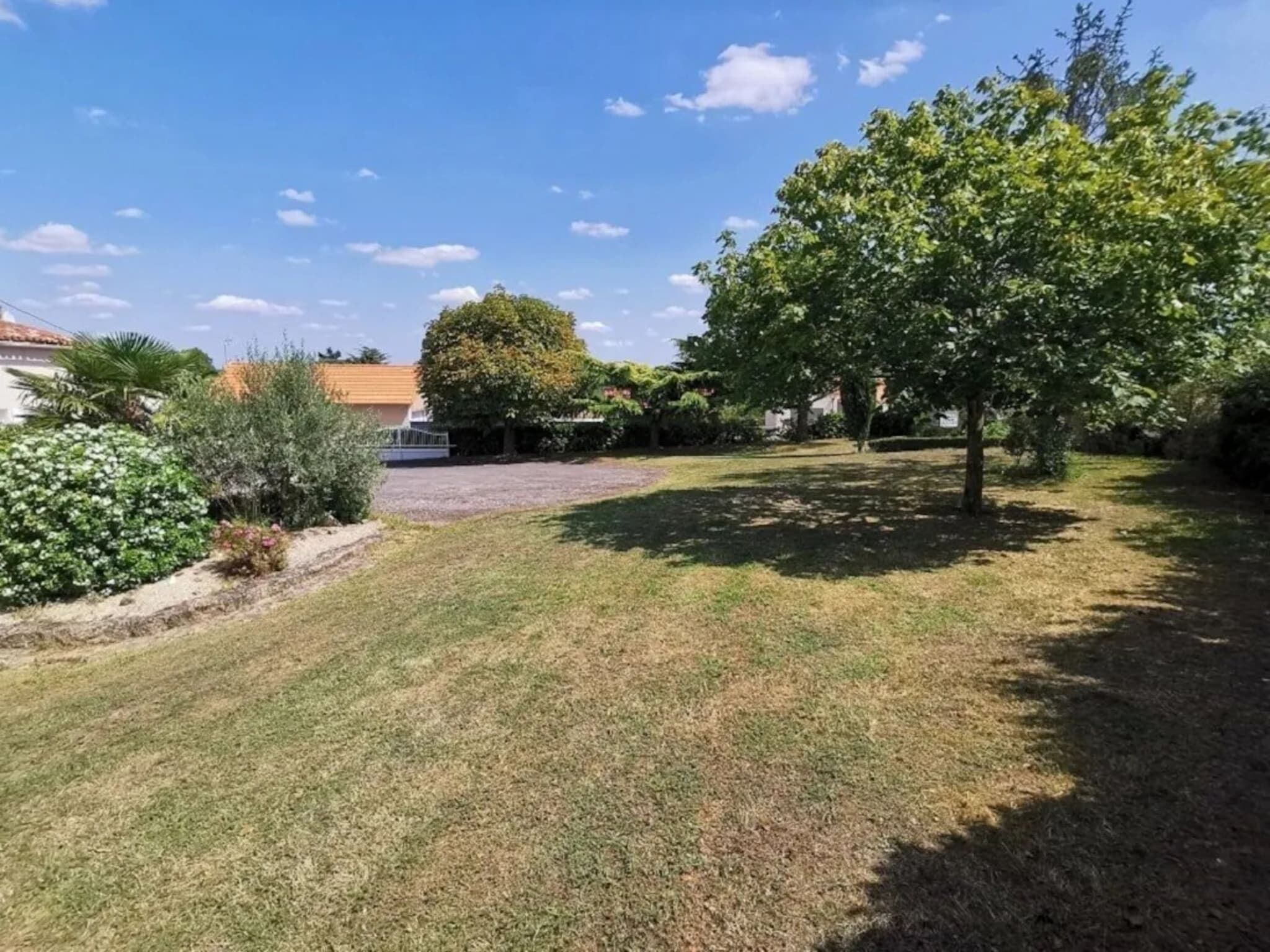 Une cour verdoyante avec un grand arbre et un bâtiment en arrière-plan.