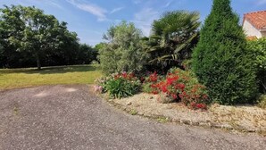 Un camino de adoquines que conduce a una casa con jardín, lleno de plantas y flores.