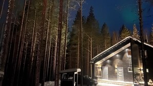 Ulkopuoli