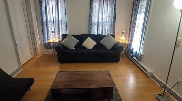 Smart TV, fireplace, books