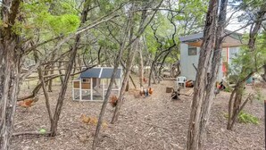 A rustic cabin surrounded by trees, with a small chicken coop nearby.