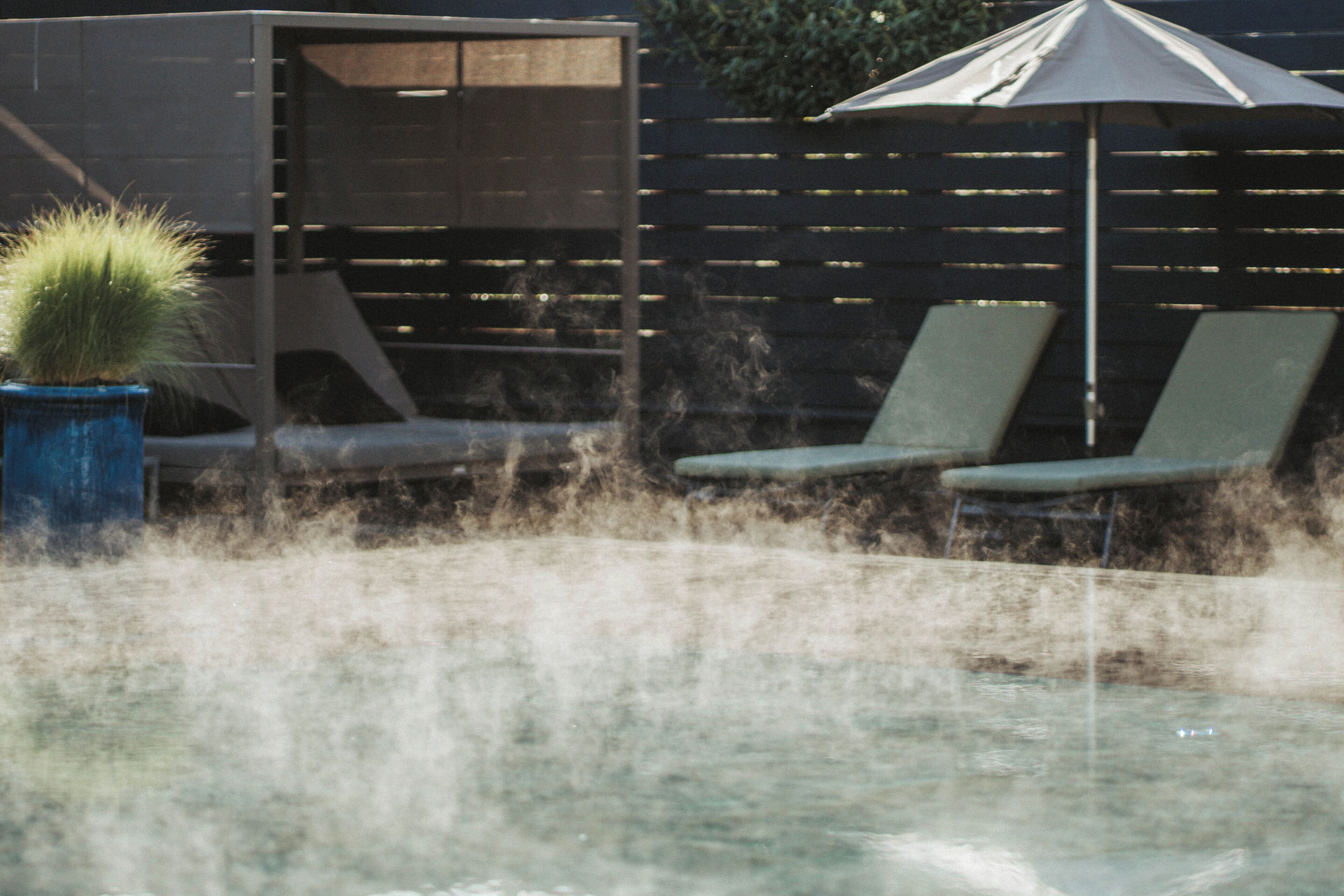 A pool area with lounge chairs and a potted plant.