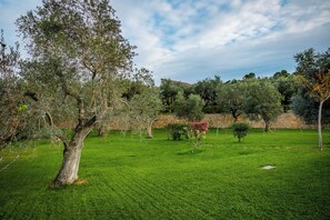 Jardines del alojamiento