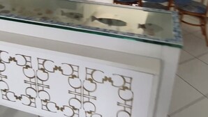 Uma área de refeições com divisória de vidro, um armário branco com padrão geométrico e um adorno em formato de peixe na parede.
