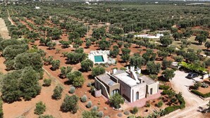 Vista aérea de uma propriedade com piscina, cercada por oliveiras, um pequeno edifício e céu claro.