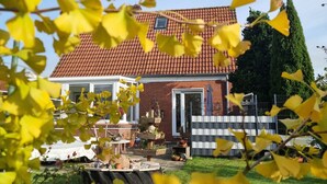 A house with a red-tiled roof, a brick exterior, and a small window.