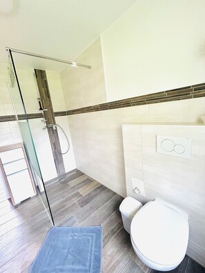 Douche, sèche-cheveux, serviettes fournies, savon