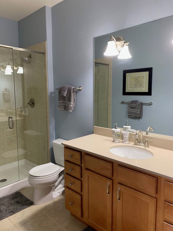 A bathroom with a glass shower enclosure, a toilet, a sink with a vanity, and a mirror with a framed map.