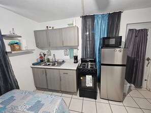 Fridge, microwave, oven, stovetop - Cozy studio with amazing terrace (Toa Baja)