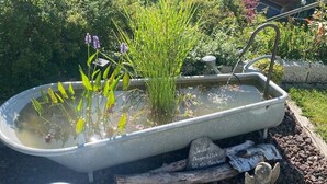Ein Garten mit Teich, umgeben von viel Grün und einer hölzernen Struktur.