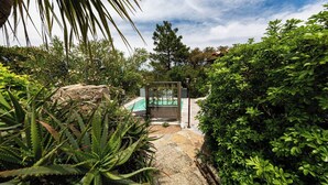 Property grounds - Le Cabanon by Pinarello Villa Services (Sainte-Lucie de Porto-Vecchio)