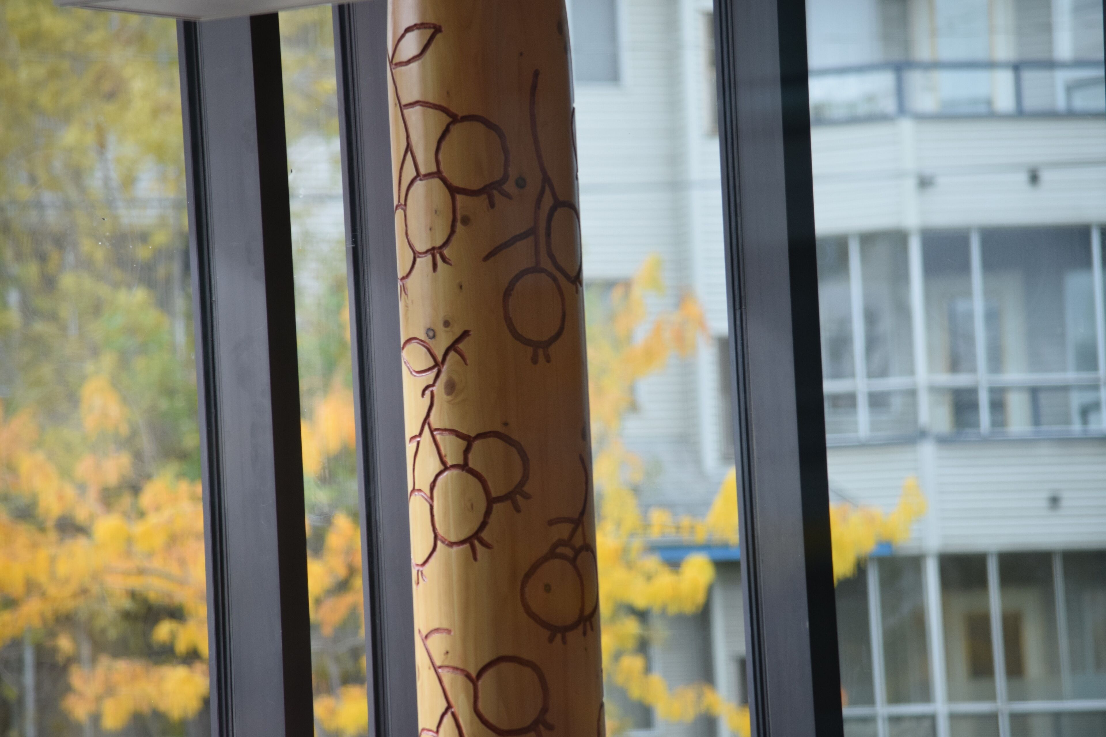 A window with a view of autumn trees and a building in the background.