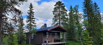 Cozy Lakeside Cottage - in the middle of the forest