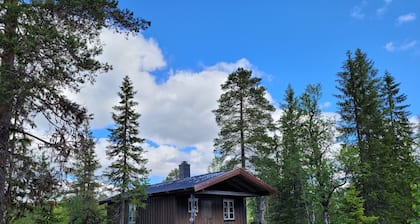 Cozy Lakeside Cottage - in the middle of the forest