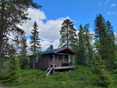Cozy Lakeside Cottage - in the middle of the forest