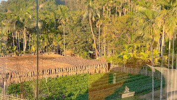 Standard enkelrum - 1 kingsize-säng - utsikt mot bergen | Utsikt mot bergen