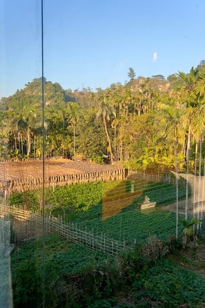 Standard-Einzelzimmer, 1 King-Bett, Hügelblick | Blick auf die Berge