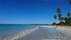A beach with clear blue water, sandy shore, and palm trees. - House Los Amigos 4 BR A/C - 9 persons / 2 minutes from beach / private pool Wifi (Las Terrenas)