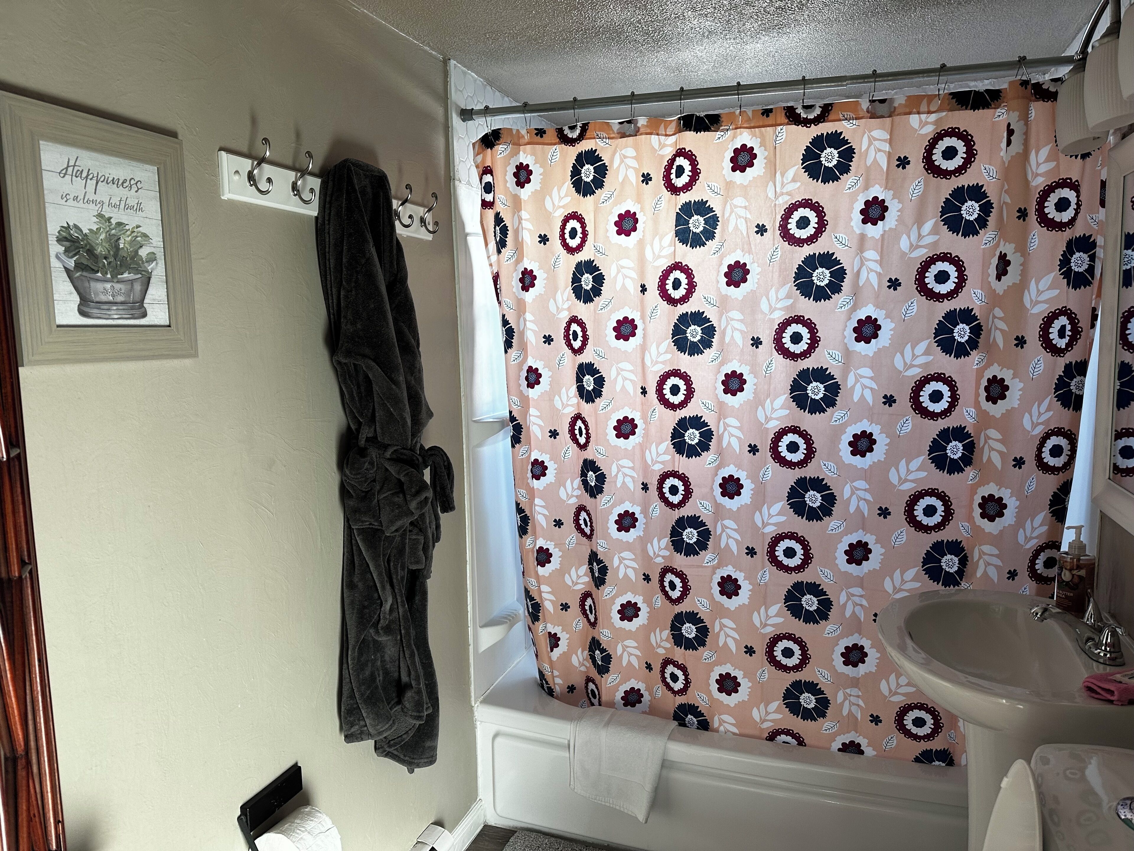 Hair dryer, towels, soap, toilet paper