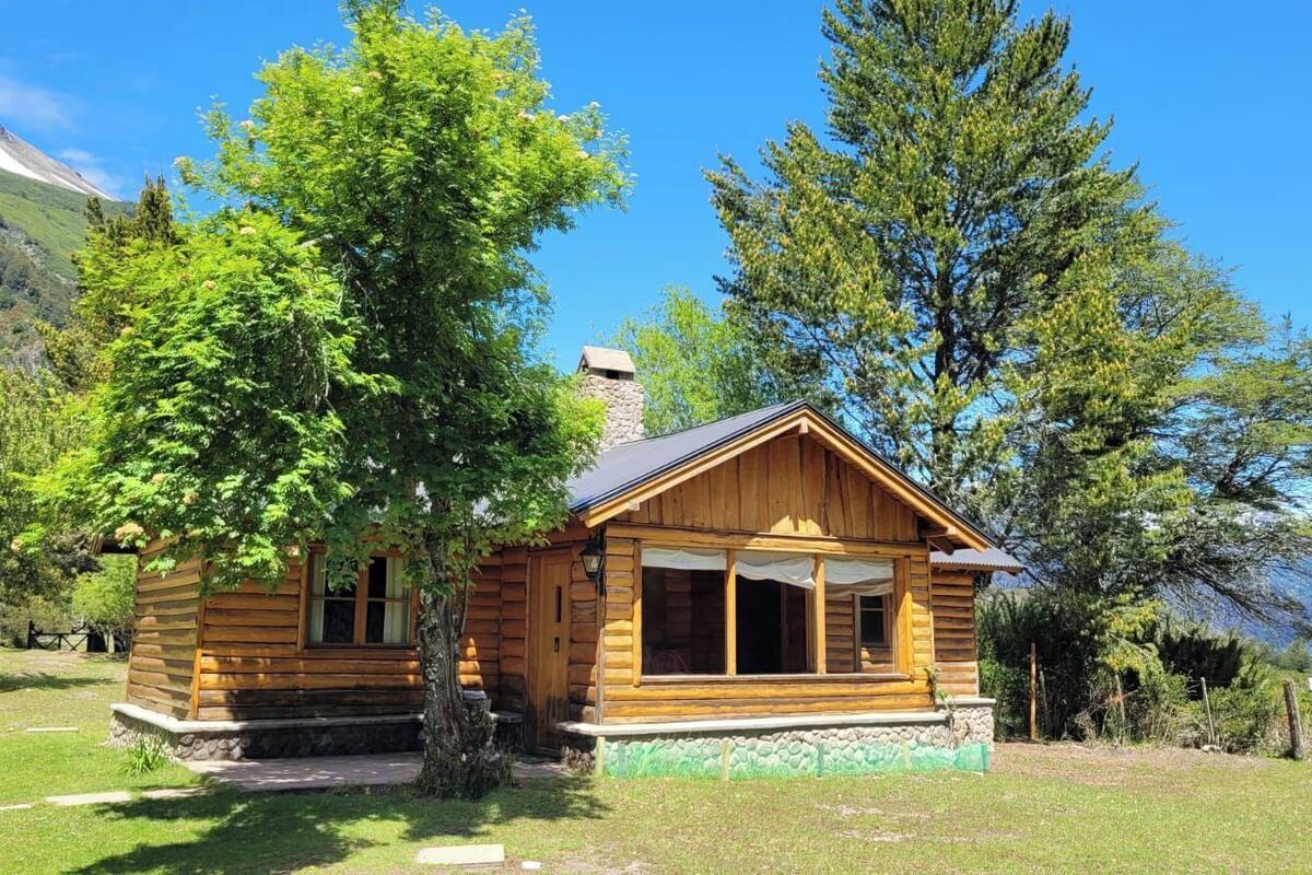 Een houten hut met een stenen fundering, omgeven door weelderige begroeiing en bomen.