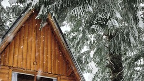 A wooden cabin with a front entrance, large windows, and a stone foundation.