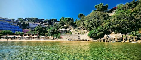 Lettini da mare