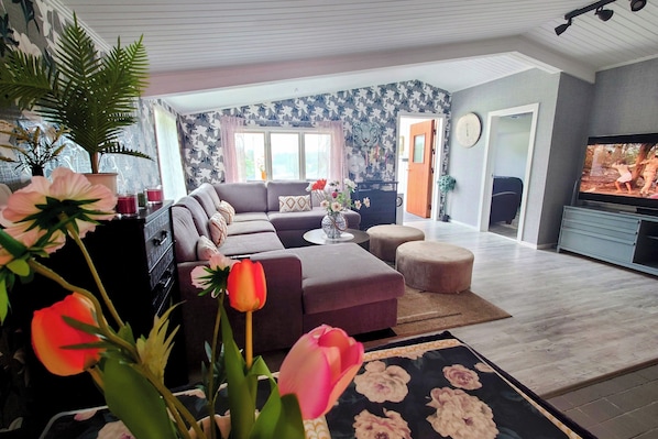 Smart-tv, een open haard, boeken en een stereo