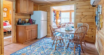 Vintage Market-Charming 2-bedroom with AC, WiFi in fantastic Lake George