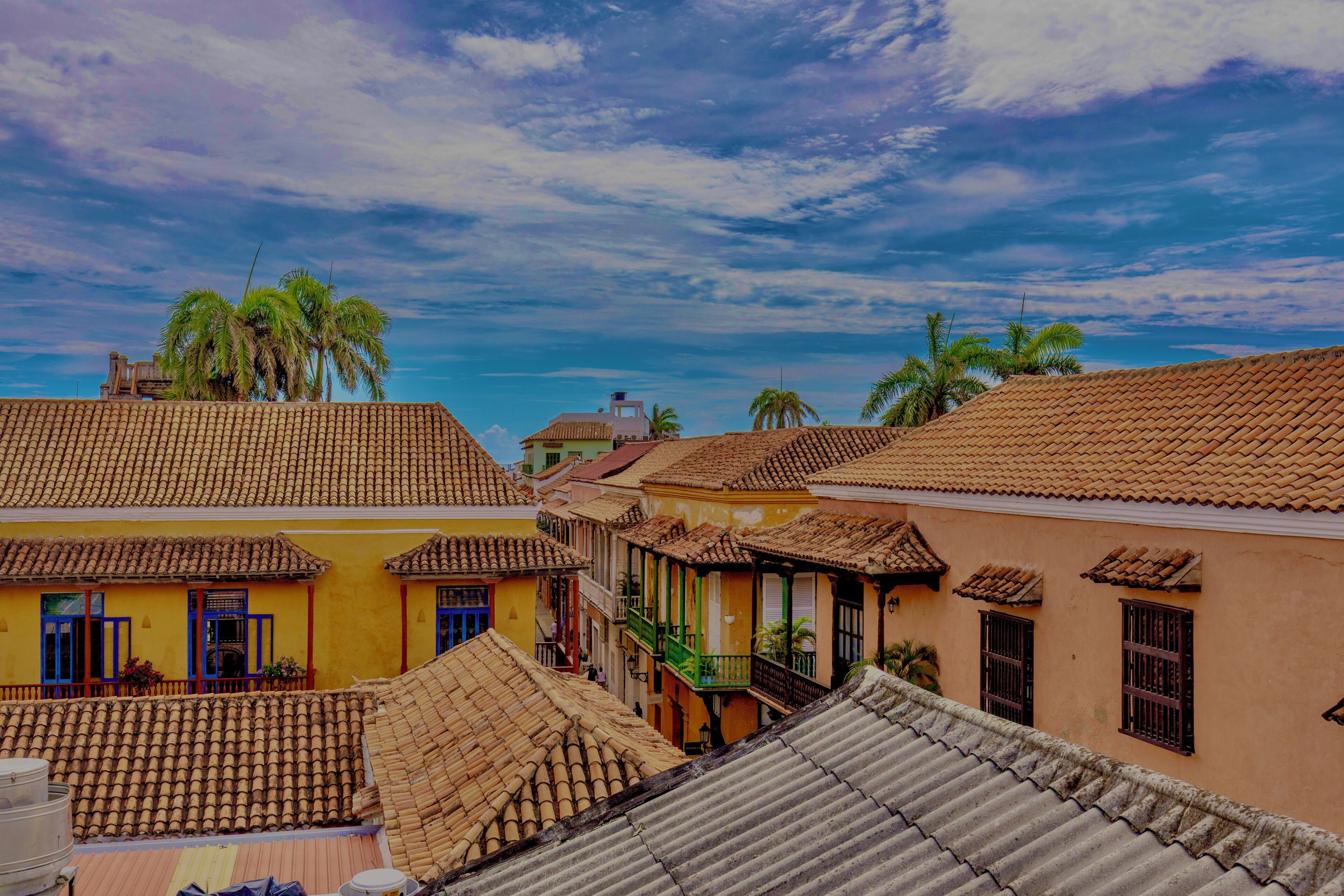 Foto - Estrella de San Pedro by Zakher