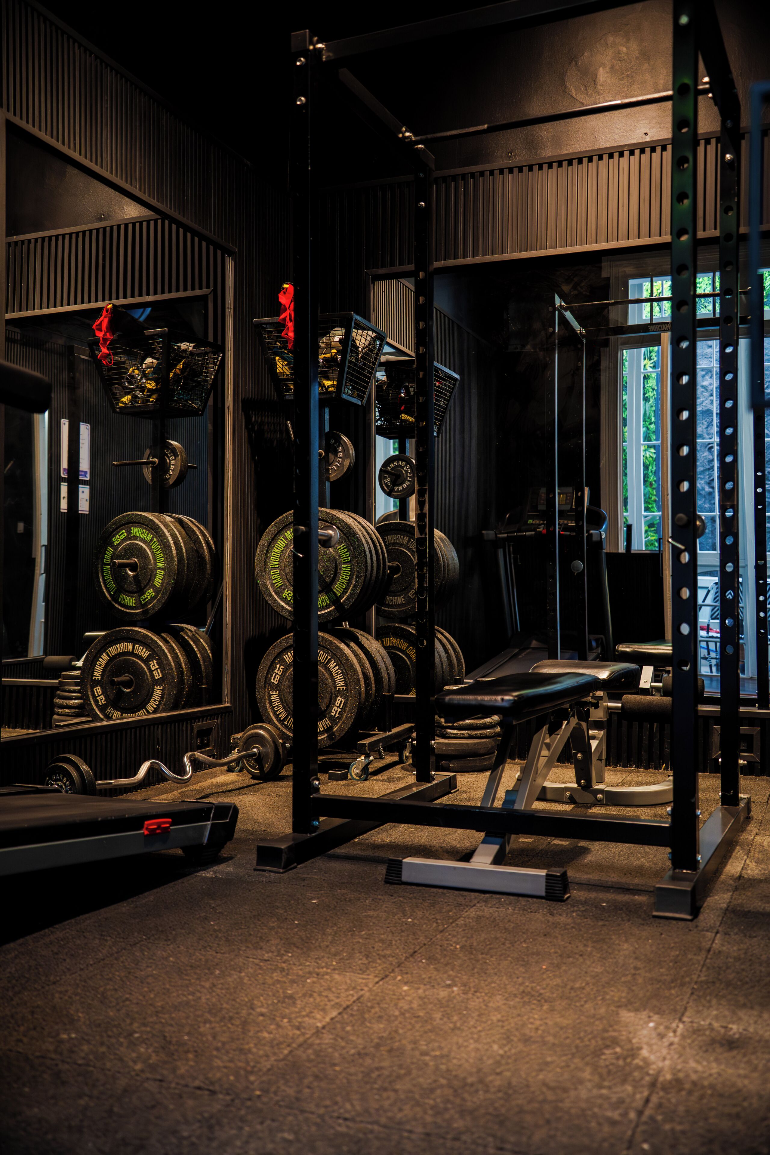 Une salle de sport équipée de matériel de musculation, de tapis de course et dotée d’une fenêtre donnant sur un paysage arboré.