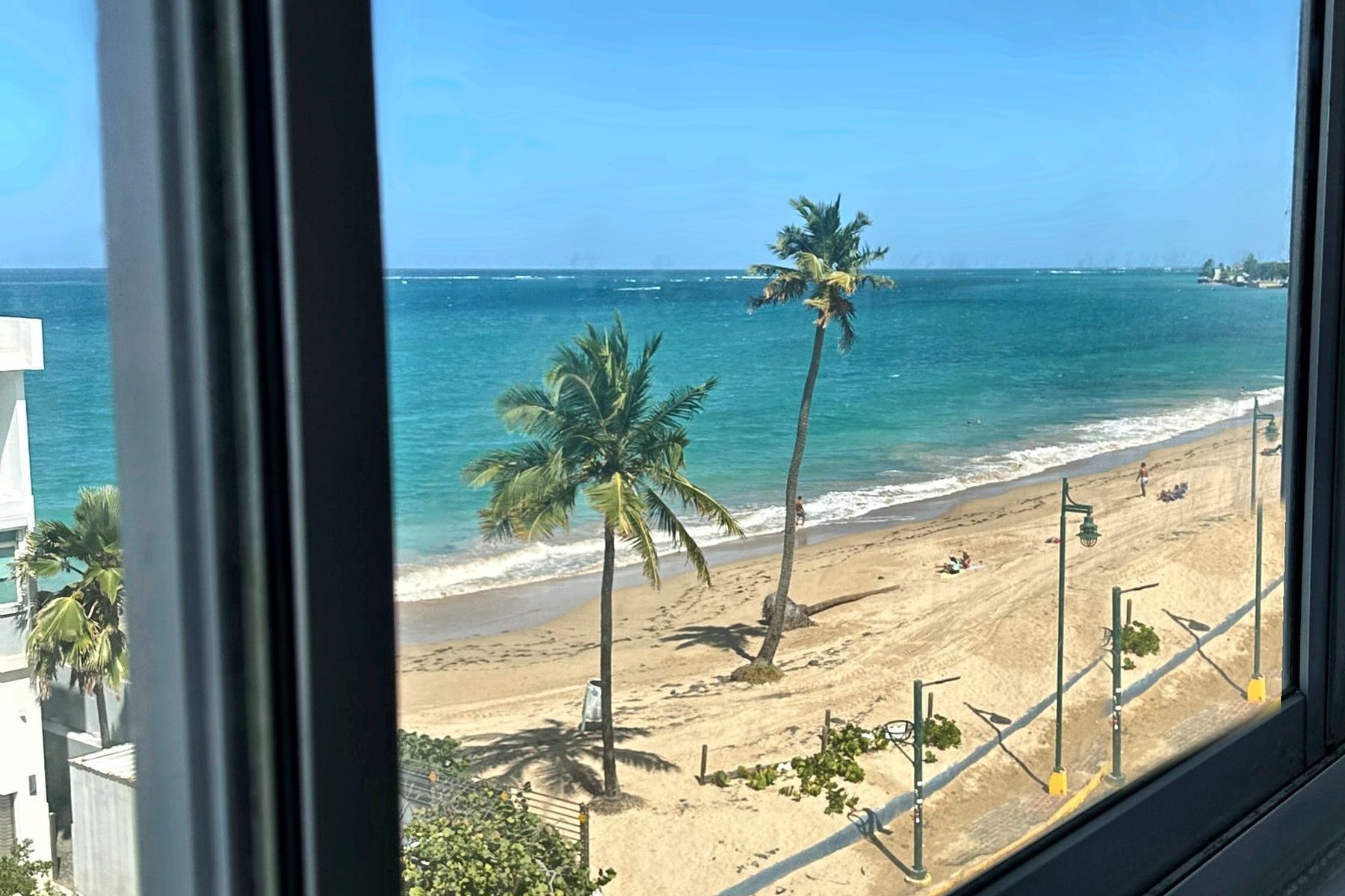 A beach view with palm trees and a clear sky.