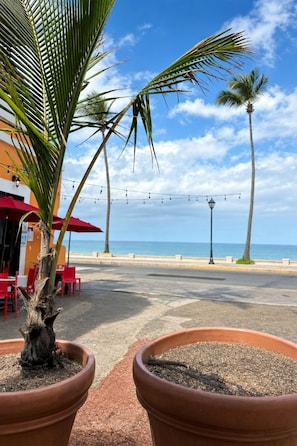 Una zona frente a la playa con palmeras, asientos al aire libre y vista al mar.