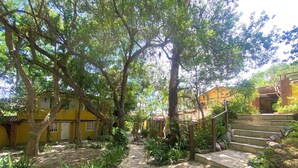 Unclassified image, 5 of 46, button - Paraiso Geriba (Búzios)