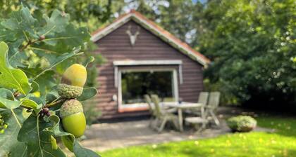 House 'De Nink', forest lodge, central Netherlands, 1 hr from Amsterdam