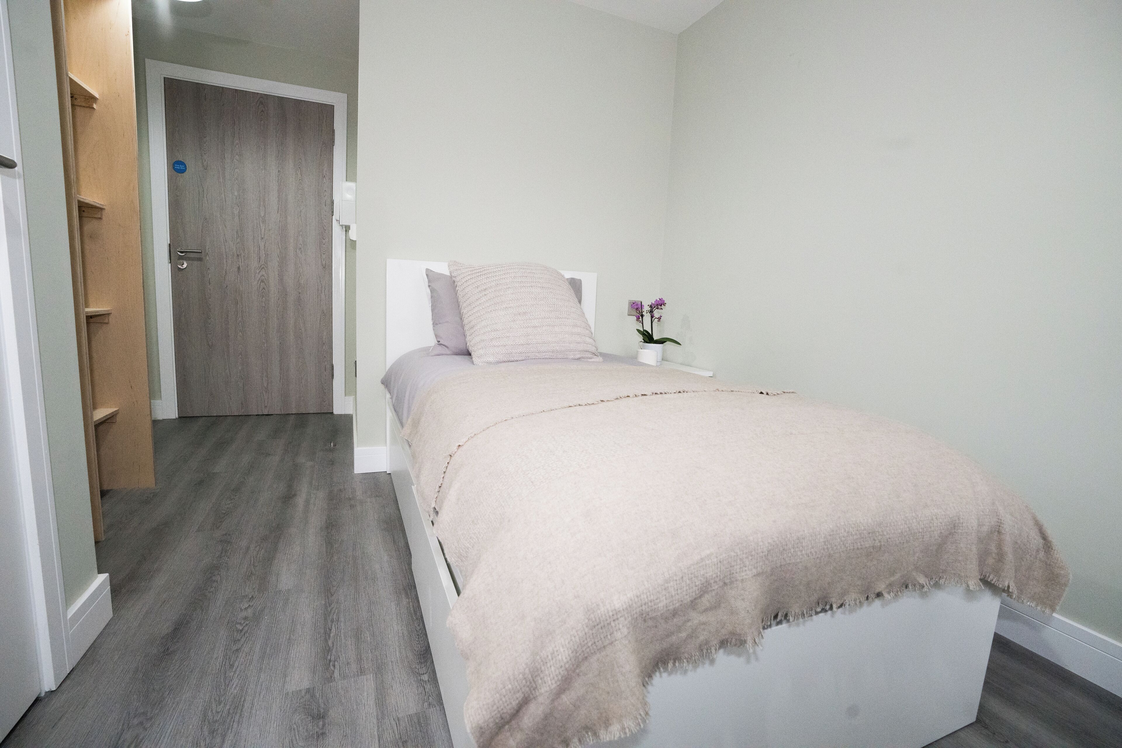 A bedroom with a bed, a nightstand, a potted plant, and a wooden door.