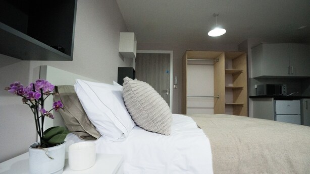 A modern hotel room with a neatly made bed, a bedside table with a plant, a white pillow, and a beige throw blanket.
