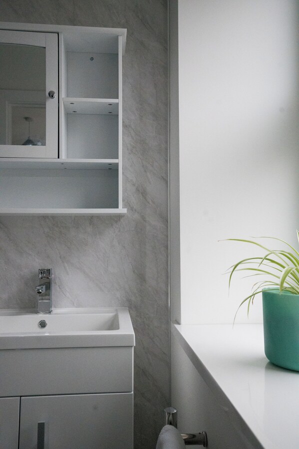 A bathroom with a white sink, a mirror, and a potted plant.
