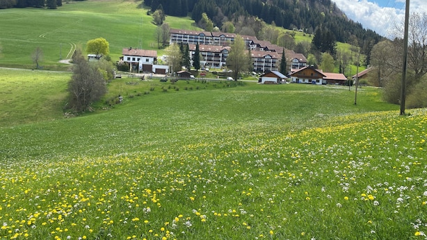 A hotel with multiple buildings, a green field with yellow flowers, and a forested hill in the background. - FEWO in the vacation park Oberallgäu with gr. Pool, bed linen, towels, final cleaning (Missen-Wilhams)