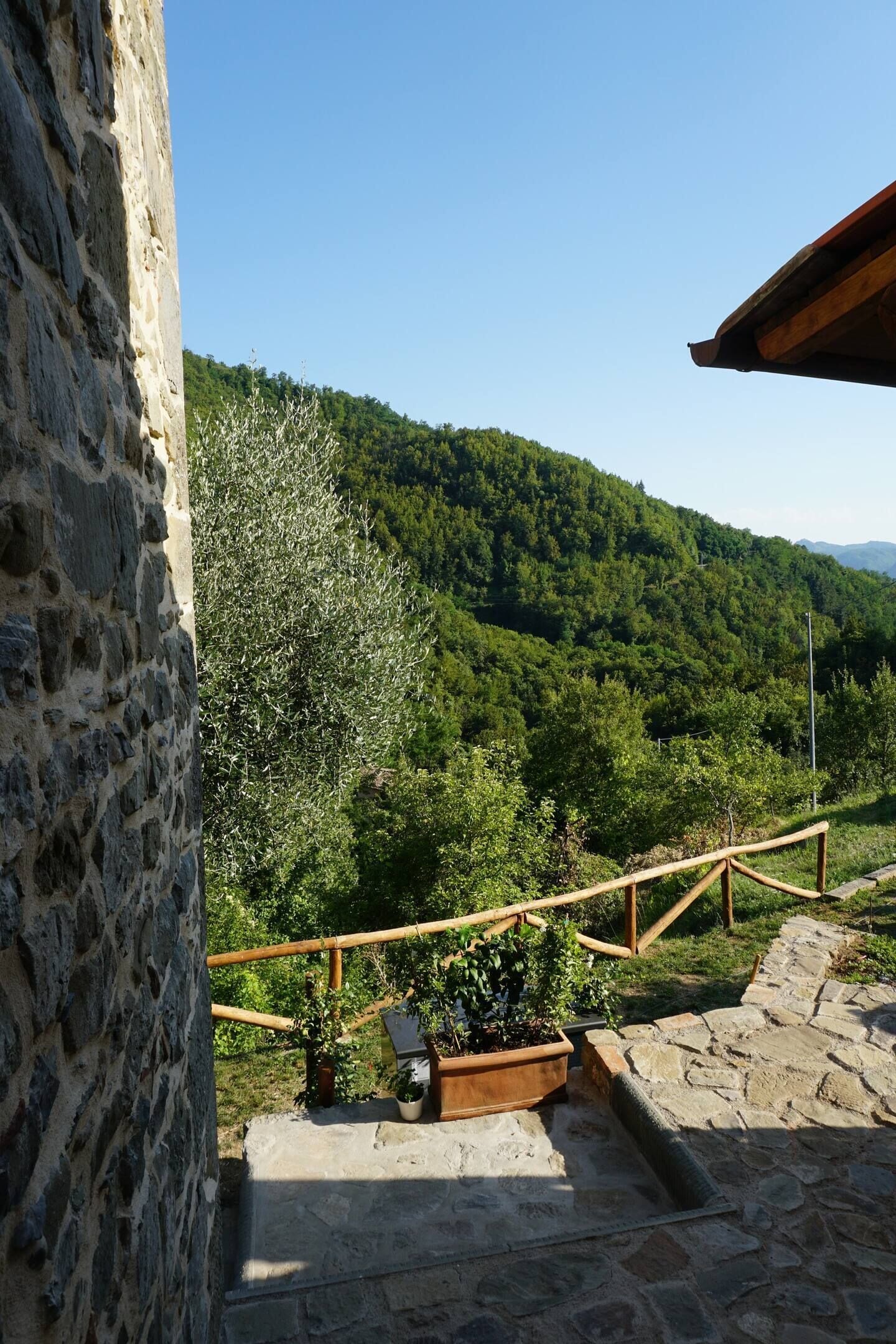 Parco della struttura