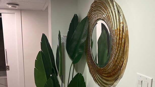 Un passadís amb una planta en test, un mirall rodó i un interruptor a la paret.