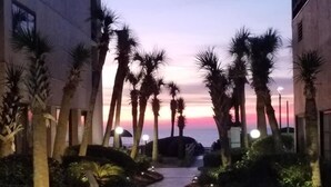 A pathway lined with palm trees and illuminated by street lamps, leading towards a building with a view of the sunset. - Ocean Front, Private Balconies (Myrtle Beach)