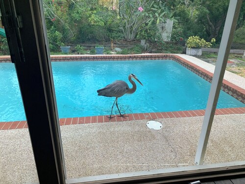 Charming house in welcoming Melbourne with AC, WiFi