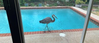 Charming house in welcoming Melbourne with AC, WiFi