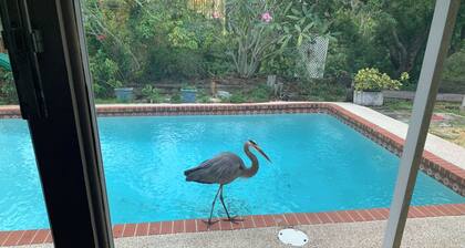 Charming house in welcoming Melbourne with AC, WiFi