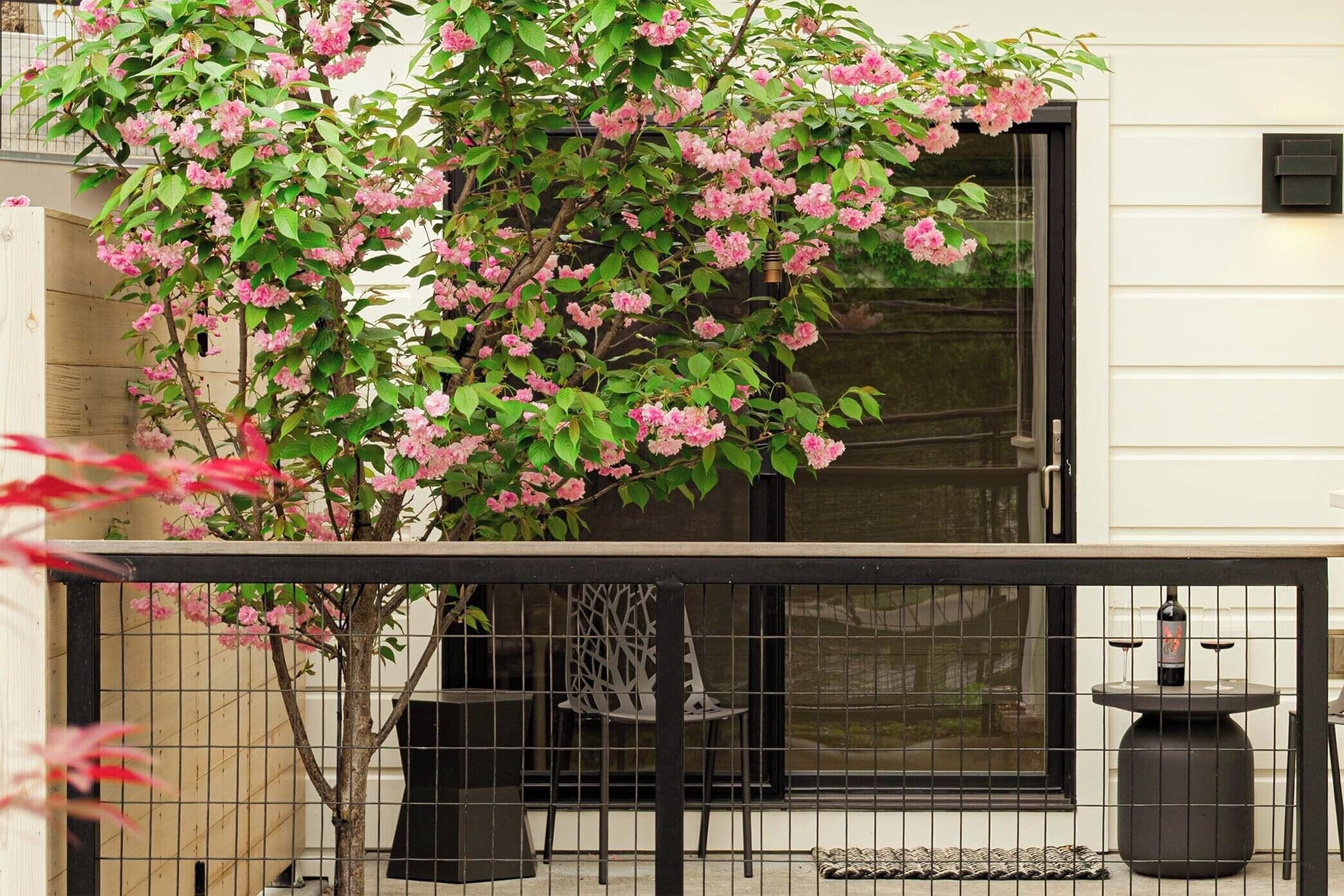 A balcony with a potted flowering tree, a chair, a table, and a bird feeder.
