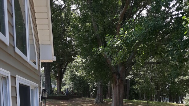 A wooden deck with a grill, outdoor furniture, and potted plants. - Cute House on Lake Hartwell- Dock Access!
PETS ALLOWED! (Townville)
